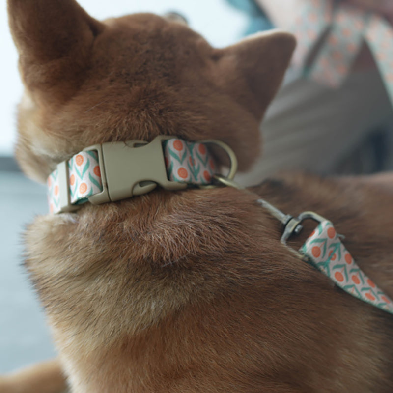 Flower Cute Personalized Dog Collar with Plastic Buckle