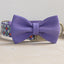 Cute Flower Personalized Dog Collar with Plastic Buckle