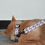 Cute Personalized Dog Collar Plastic Buckle, Custom Pet Collar Bow Tie, Leash