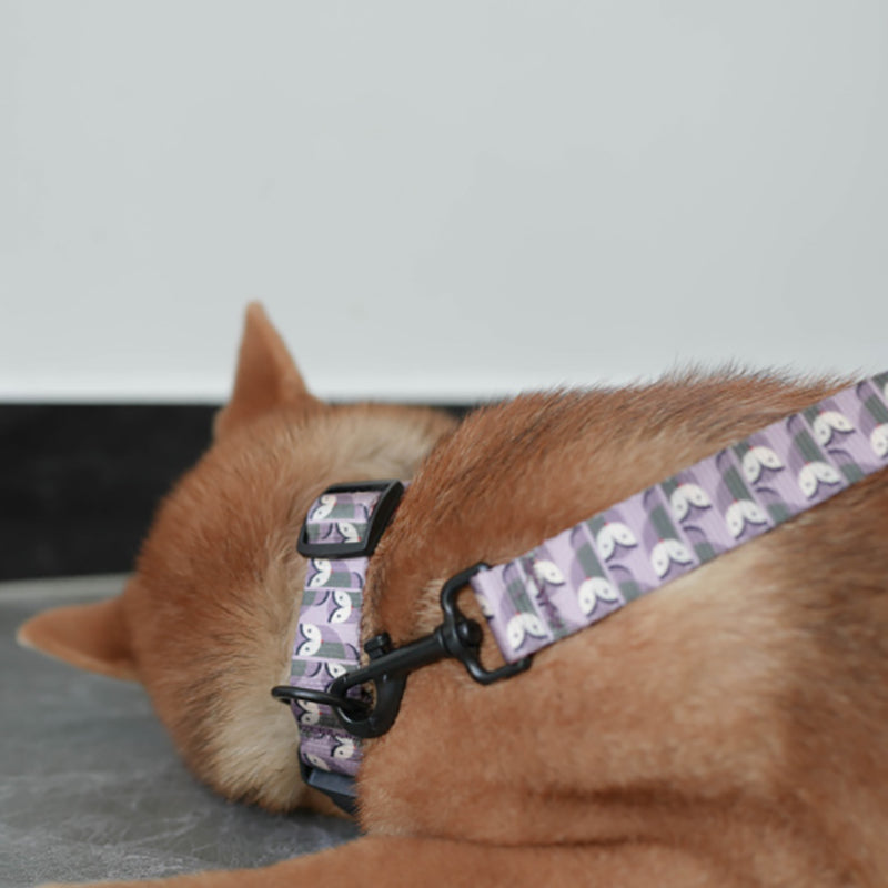 Cute Personalized Dog Collar Plastic Buckle, Custom Pet Collar Bow Tie, Leash