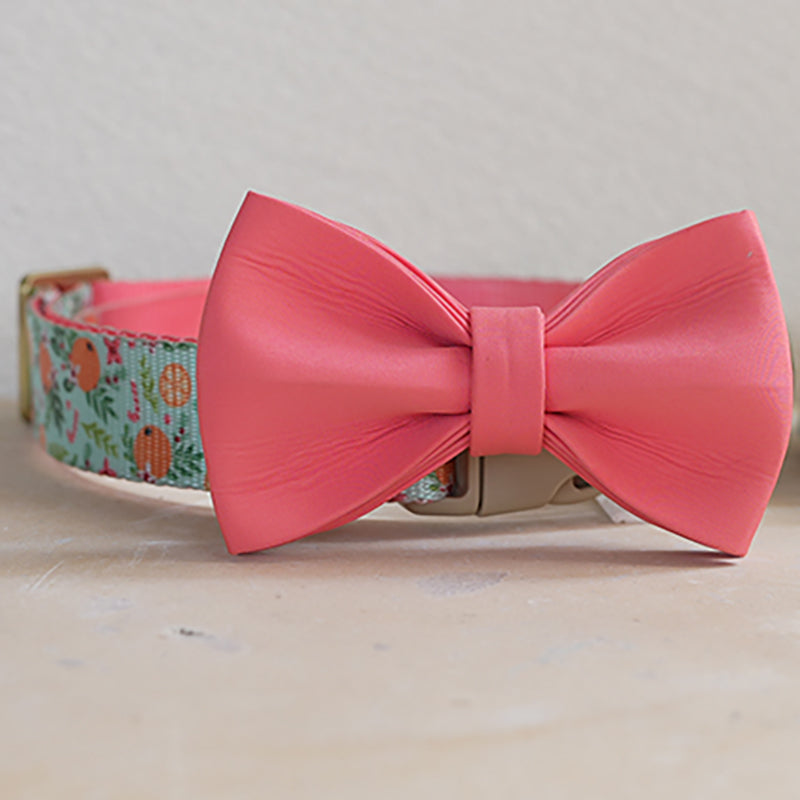Cute Personalized Dog Collar with Plastic Buckle