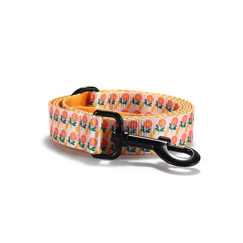 Plastic Buckle Cute Personalized Dog Collar, Custom Pet Collar Bow Tie, Leash