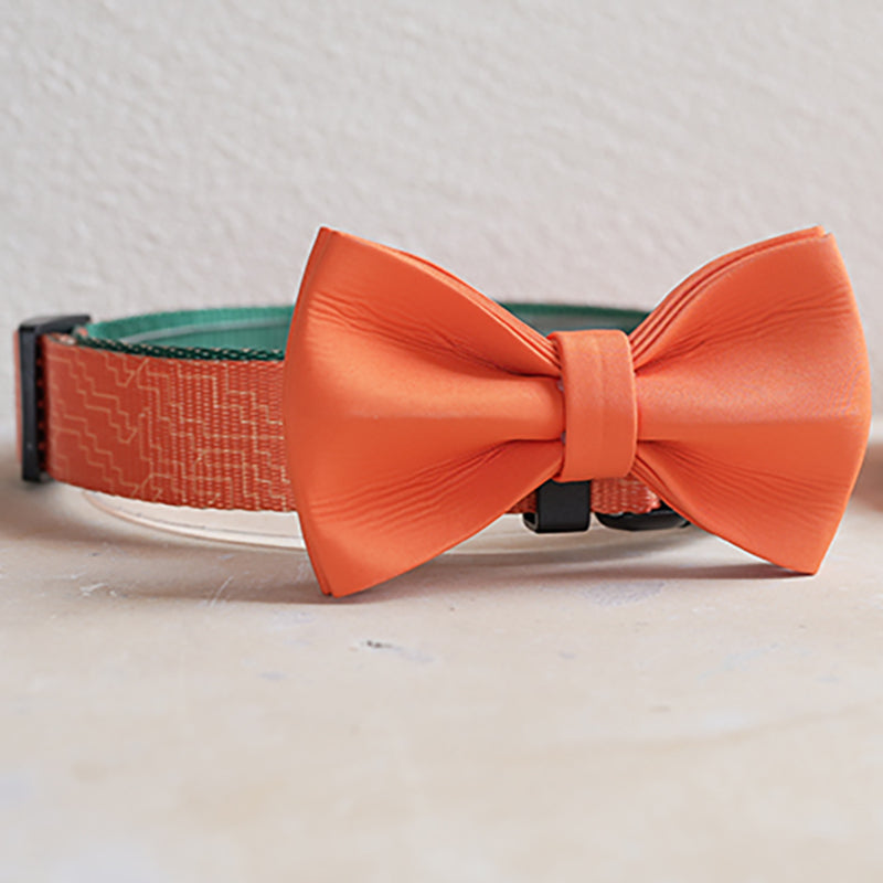 Halloween Cute Personalized Dog Collar with Plastic Buckle