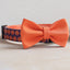 Halloween Cute Personalized Dog Collar with Plastic Buckle