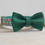 Flower Cute Personalized Dog Collar with Plastic Buckle