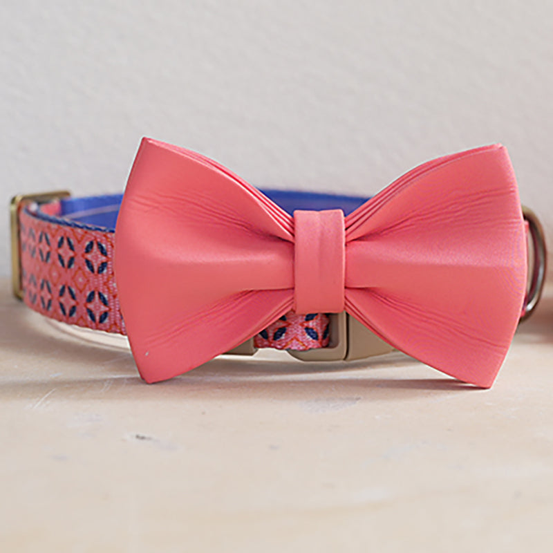 Cute Personalized Dog Collar with Plastic Buckle