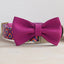 Cute Personalized Dog Collar with Plastic Buckle
