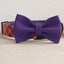 Halloween Cute Personalized Dog Collar with Plastic Buckle