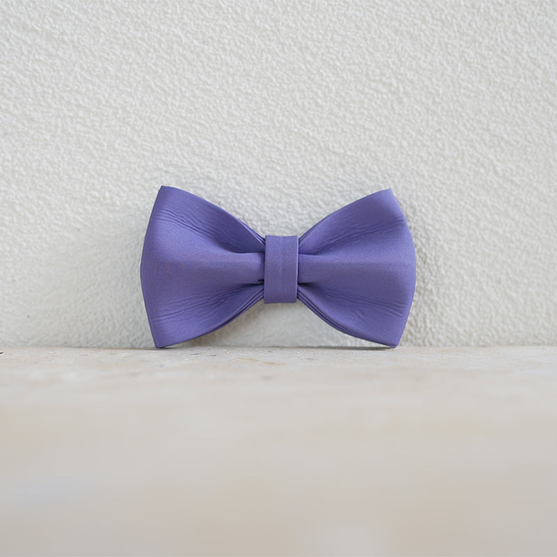 Cute Personalized Dog Collar Plastic Buckle, Custom Pet Collar Bow Tie, Leash