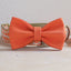 Cute Personalized Dog Collar with Plastic Buckle