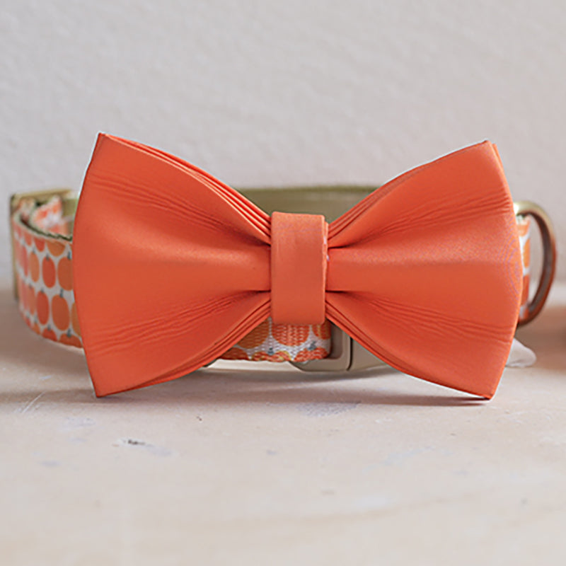 Cute Personalized Dog Collar with Plastic Buckle