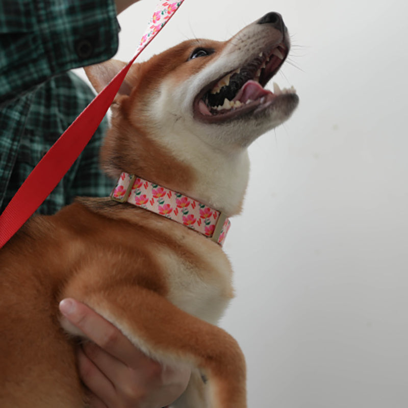 Flower Cute Personalized Dog Collar with Plastic Buckle
