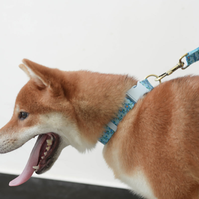 Cute Personalized Dog Collar with Plastic Buckle