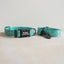Halloween Cute Personalized Dog Collar with Plastic Buckle