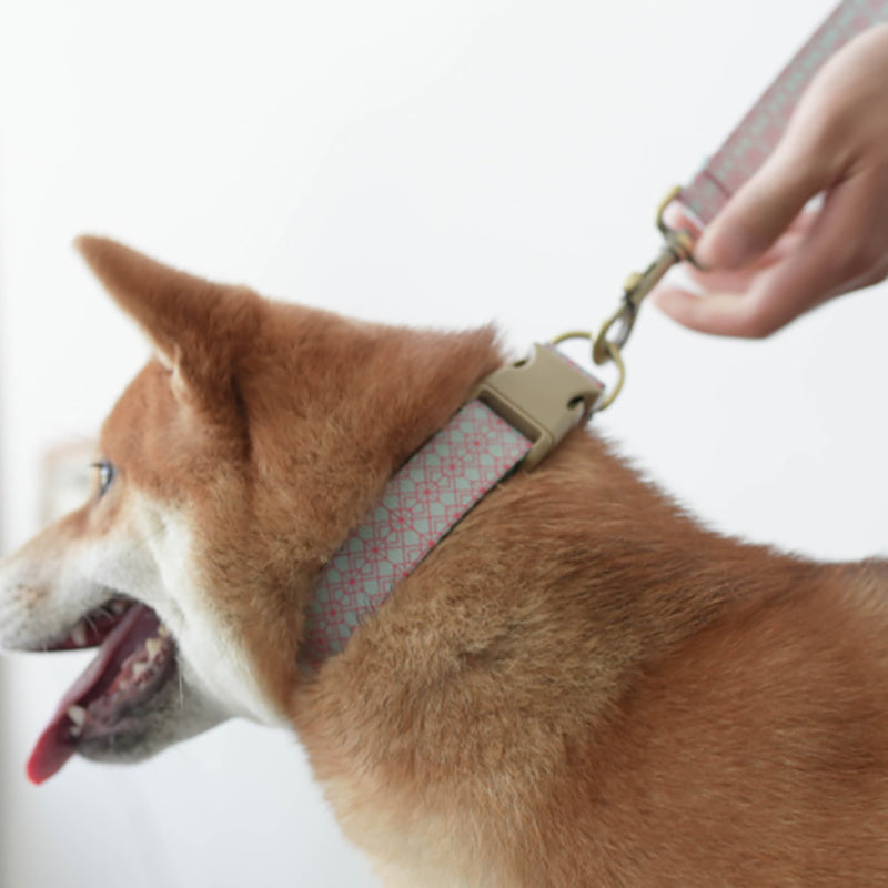 Cute Personalized Dog Collar with Plastic Buckle