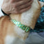 Flower Cute Personalized Dog Collar with Plastic Buckle