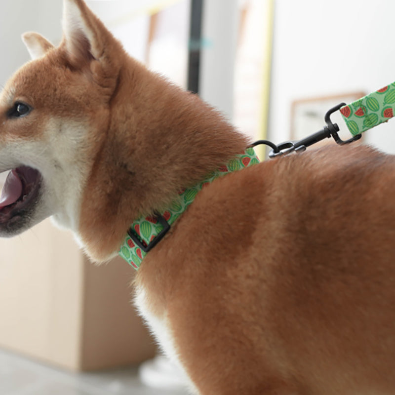 Fruit Cute Personalized Dog Collar Plastic Buckle, Custom Pet Collar Bow Tie, Leash