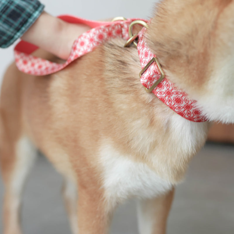 Flower Cute Personalized Dog Collar with Plastic Buckle