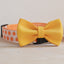 Plastic Buckle Cute Personalized Dog Collar, Custom Pet Collar Bow Tie, Leash