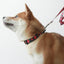 Cute Personalized Dog Collar with Plastic Buckle