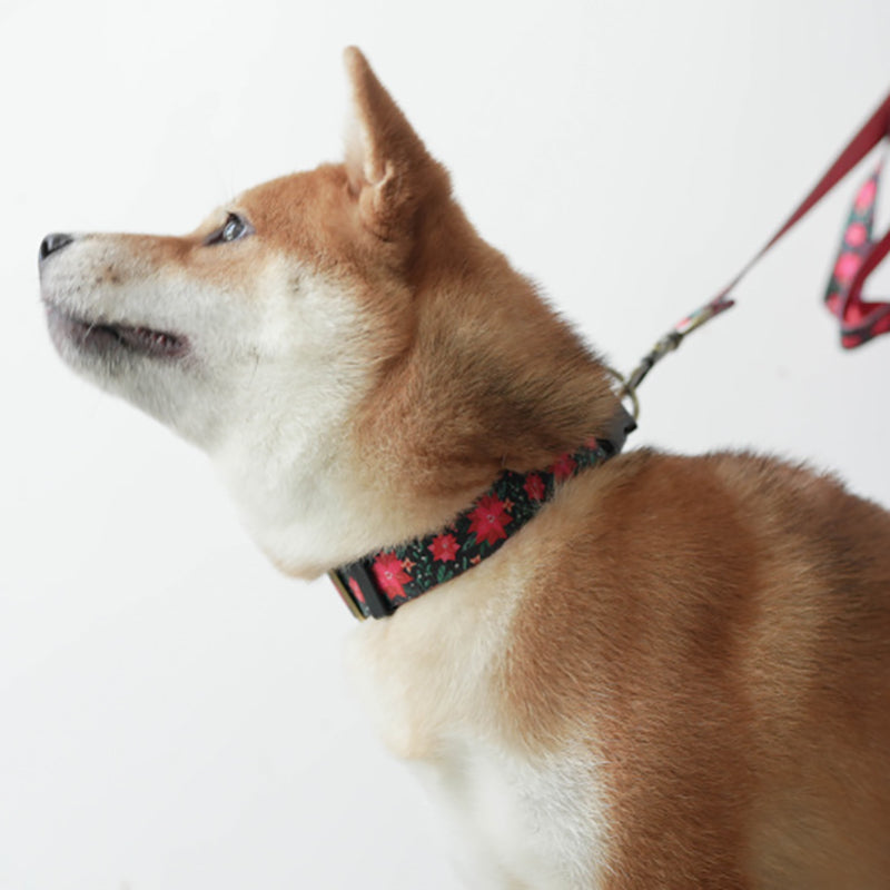 Cute Personalized Dog Collar with Plastic Buckle