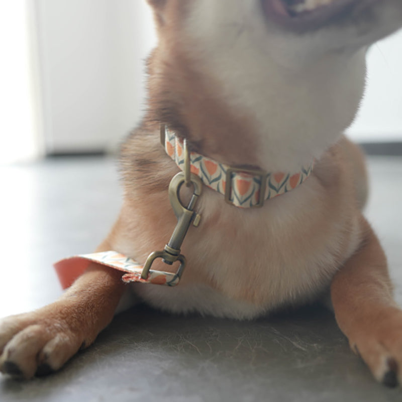 Cute Flower Personalized Dog Collar with Plastic Buckle