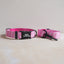 Cute Personalized Dog Collar Plastic Buckle, Custom Pet Collar Bow Tie, Leash
