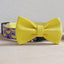Cute Personalized Dog Collar Plastic Buckle, Custom Pet Collar Bow Tie, Leash