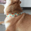 Cute Flower Personalized Dog Collar with Plastic Buckle