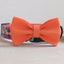 Plastic Buckle Cute Personalized Dog Collar, Custom Pet Collar Bow Tie, Leash