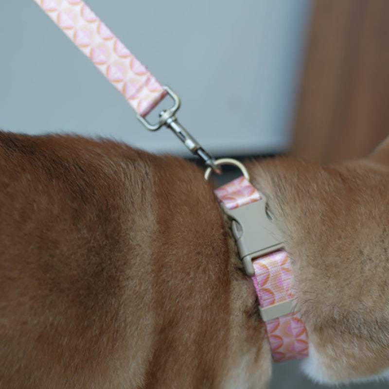 Flower Cute Personalized Dog Collar with Plastic Buckle