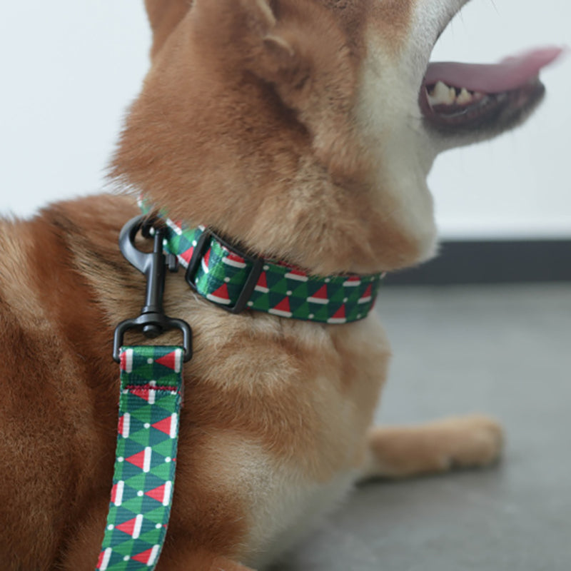 Halloween Cute Personalized Dog Collar with Plastic Buckle