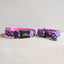 Cute Personalized Dog Collar Plastic Buckle, Custom Pet Collar Bow Tie, Leash