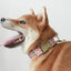 Cute Flower Personalized Dog Collar with Plastic Buckle