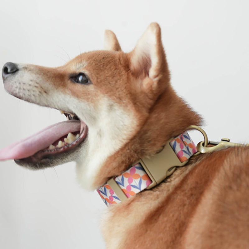 Cute Flower Personalized Dog Collar with Plastic Buckle