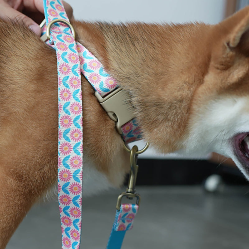 Cute Flower Personalized Dog Collar with Plastic Buckle