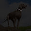 Customizable Reflective Leather-Textured Anti-Lost Personalized Dog Collar