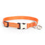 2 Pack Personalized Cat Collar with Bell