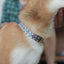 Cute Flower Personalized Dog Collar with Plastic Buckle