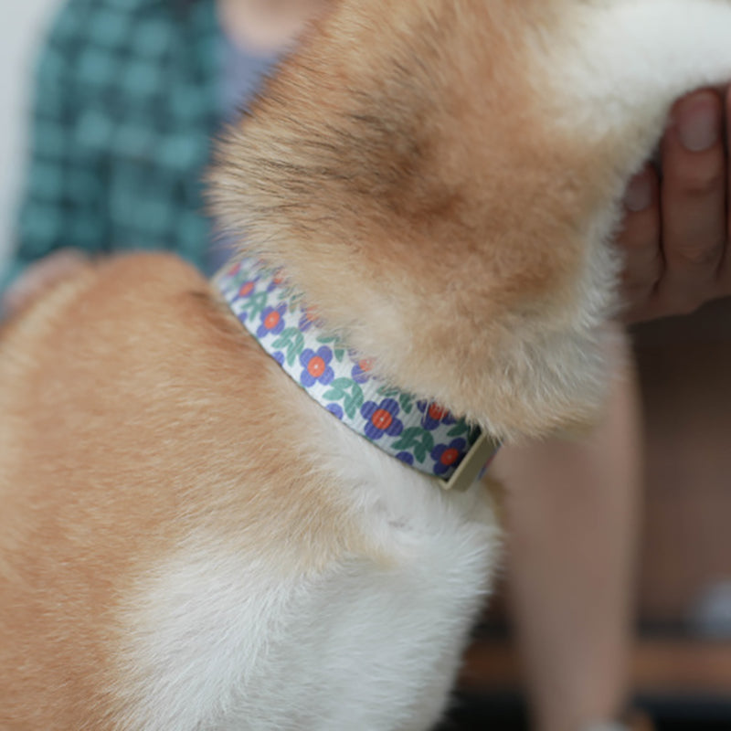 Cute Flower Personalized Dog Collar with Plastic Buckle