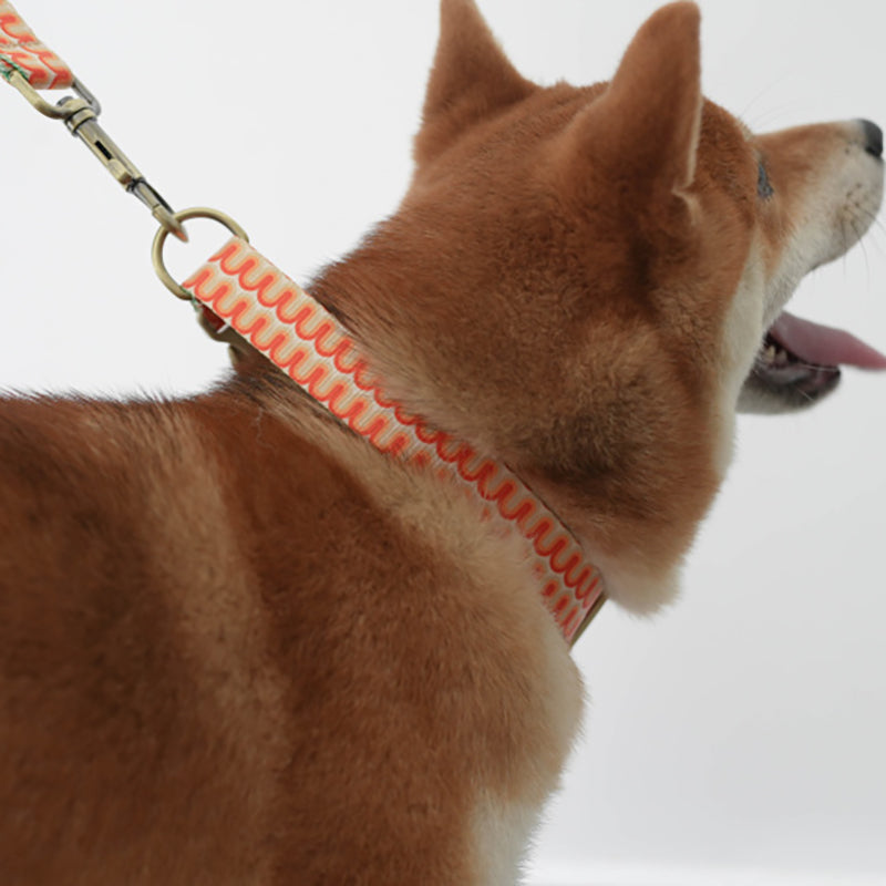 Cute Personalized Dog Collar with Plastic Buckle
