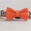 Plastic Buckle Cute Personalized Dog Collar, Custom Pet Collar Bow Tie, Leash
