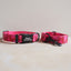 Fruit Cute Personalized Dog Collar Plastic Buckle, Custom Pet Collar Bow Tie, Leash