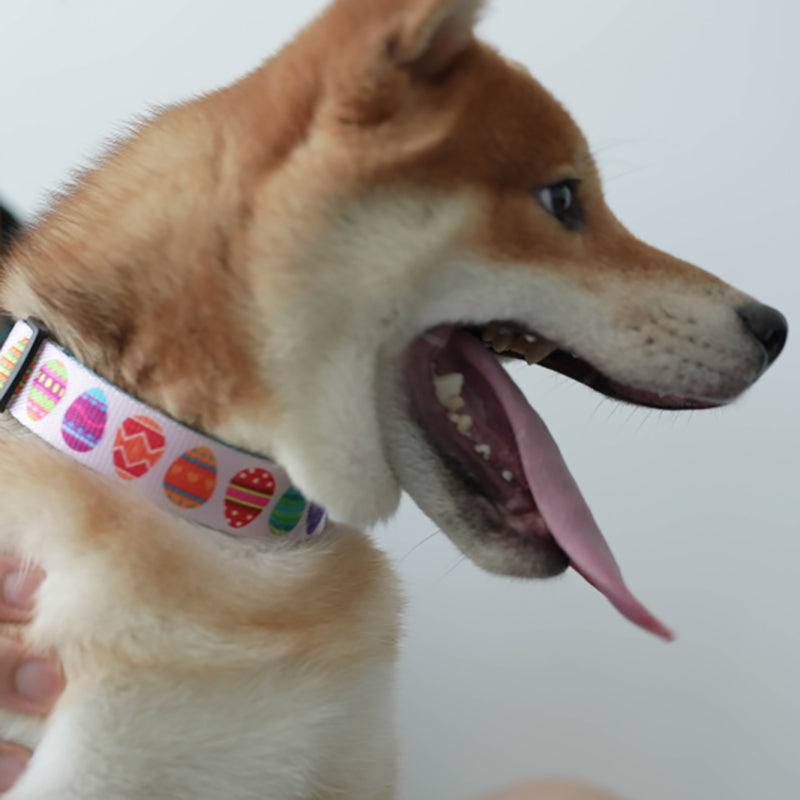 Flower Cute Personalized Dog Collar with Plastic Buckle