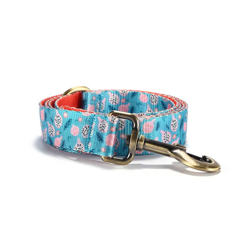 Fruit Cute Personalized Dog Collar Plastic Buckle, Custom Pet Collar Bow Tie, Leash