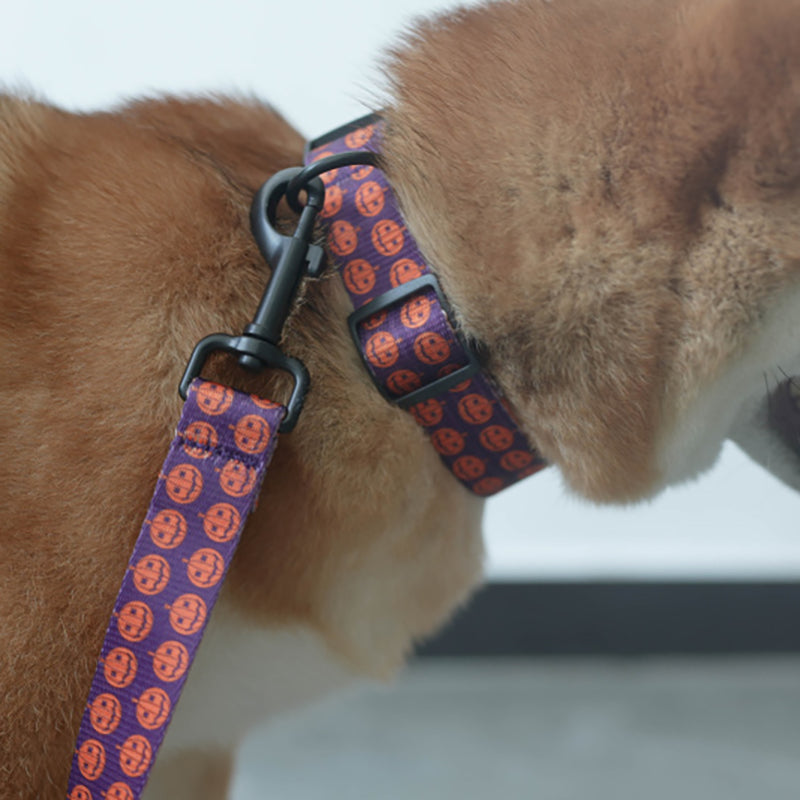 Halloween Cute Personalized Dog Collar with Plastic Buckle