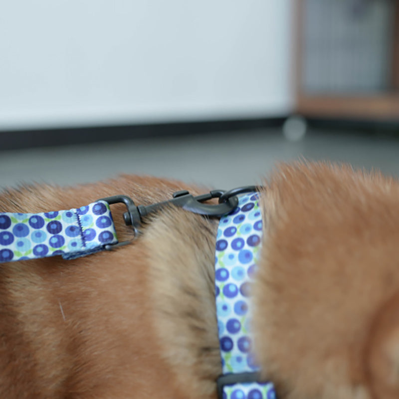 Fruit Cute Personalized Dog Collar Plastic Buckle, Custom Pet Collar Bow Tie, Leash