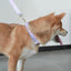Cute Flower Personalized Dog Collar with Plastic Buckle