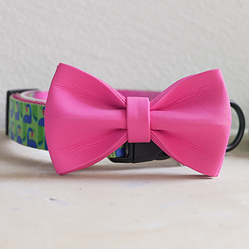 Cute Personalized Dog Collar Plastic Buckle, Custom Pet Collar Bow Tie, Leash