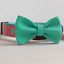 Cute Personalized Dog Collar Plastic Buckle, Custom Pet Collar Bow Tie, Leash